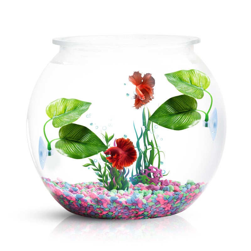 CousDUoBe 2 Pack Betta Fish Leaf Pad Improves Betta's Health by Simulating The Natural Habitat - Natural, Organic, Comfortable Rest Area for Fish Aquarium Ornaments - Image 2